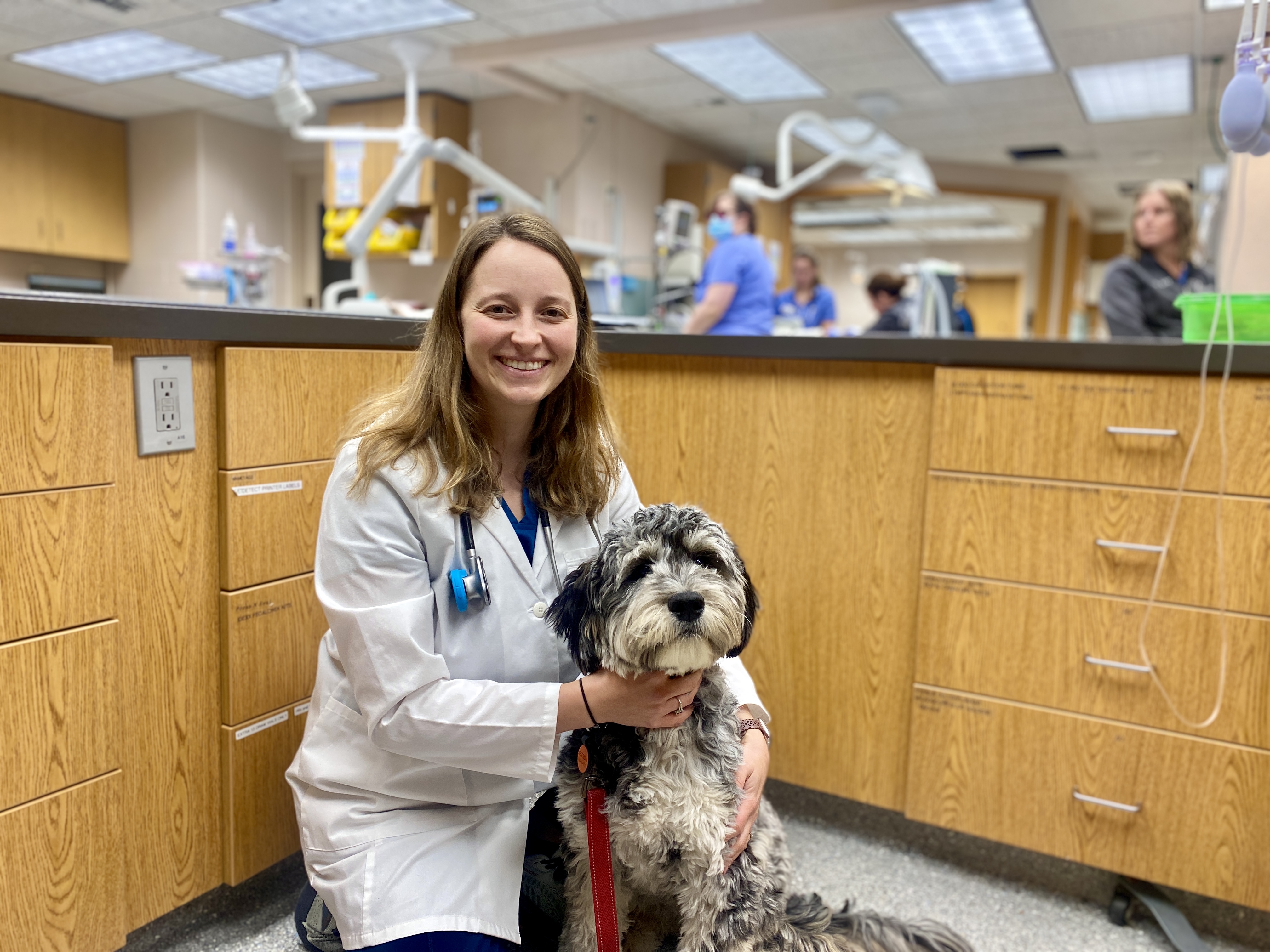 Dr. Rasche Pancreatitis in Pets